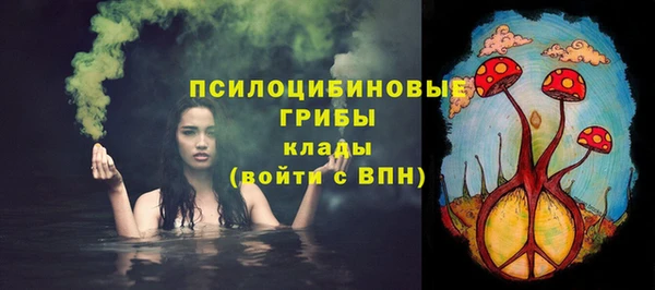 шишки Горняк