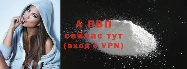индика Горнозаводск