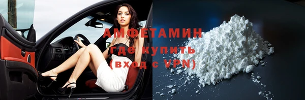 шишки Горняк