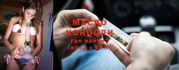 индика Горнозаводск