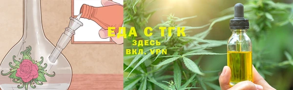 шишки Горняк