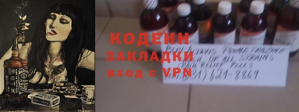 индика Горнозаводск