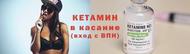 мяу мяу мука Горно-Алтайск