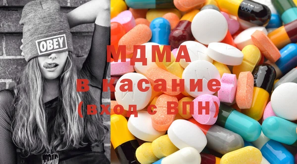 индика Горнозаводск