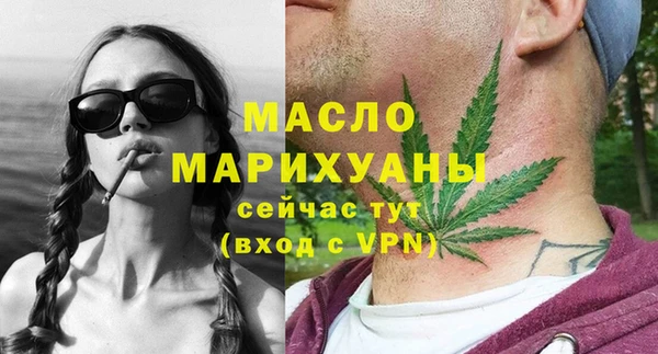 индика Горнозаводск