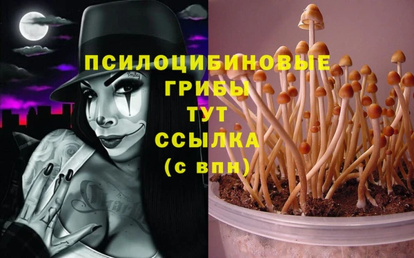 шишки Горняк