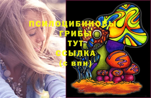 амфетамин Гусев
