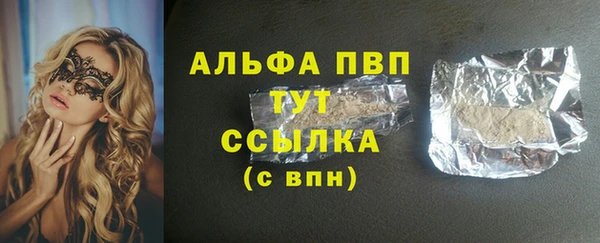 индика Горнозаводск