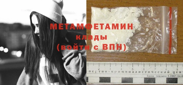 шишки Горняк