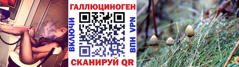 Галлюциногенные грибы Magic Shrooms  Суворов 